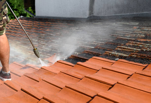 Best Roof Power Washing Services  in Thompsonville, PA