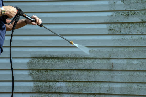 Best Roof Pressure Washing  in Thompsonville, PA